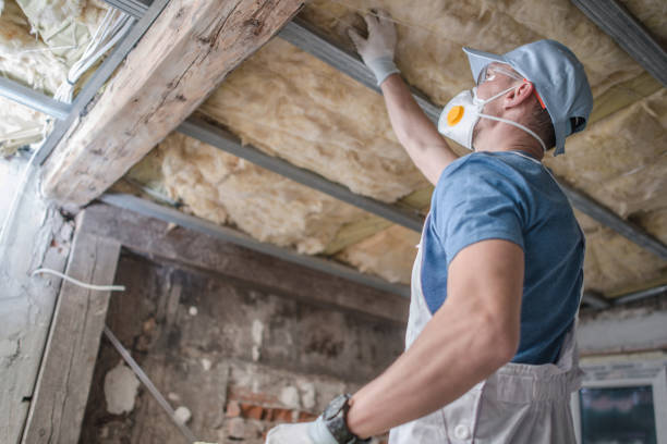 Best Cellulose Insulation in Silver Springs, FL