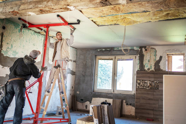 Types of Insulation We Offer in Silver Springs, FL