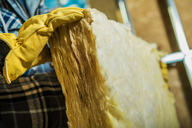 Types of Insulation We Offer in Silver Springs, FL
