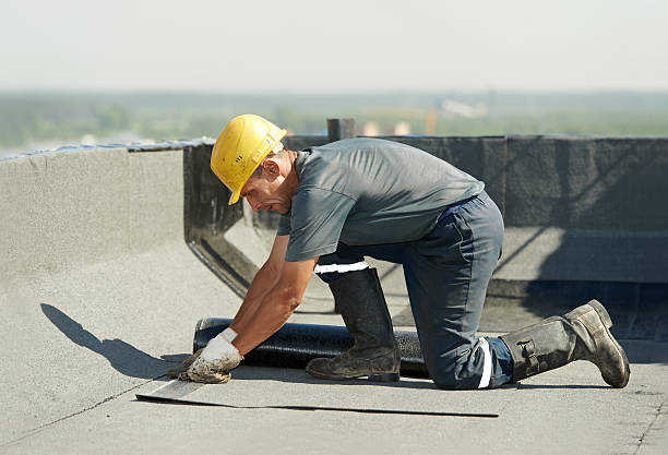 Best DIY Insulation Kits and Guidance in Silver Springs, FL