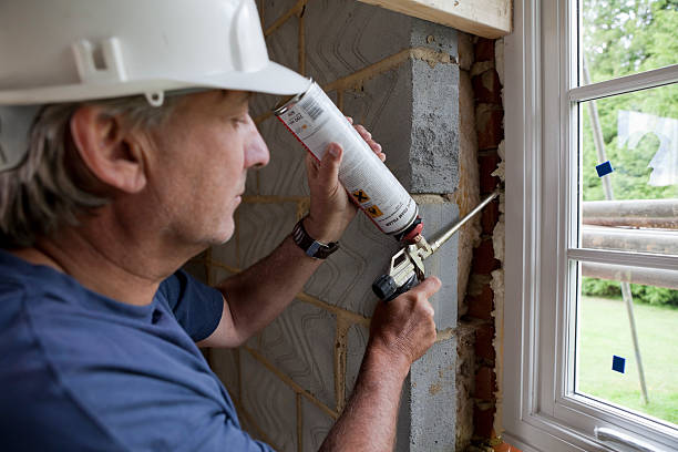 Best Insulation Maintenance and Repair in Silver Springs, FL