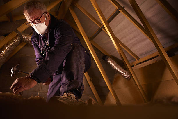 Best Specialized Insulation Services in Silver Springs, FL